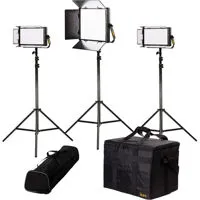 Ikan Lyra Bi-Color 3-Point Sof Picture