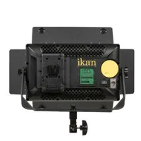Ikan Lyra Half x 1 Studio & Fi Picture