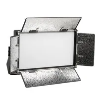 Ikan Lyra Half x 1 Studio & Fi Picture