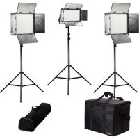 Ikan Rayden Bi-Color 3-Point L Picture