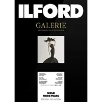 Ilford GALERIE Gold Fibre Pear Picture