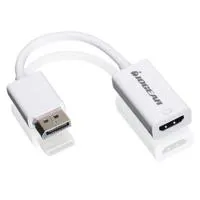 IOGEAR 3.8" DisplayPort to HDM Picture