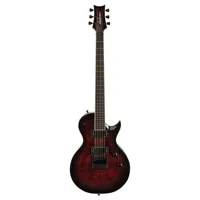 Jackson Pro Series Signature D Picture