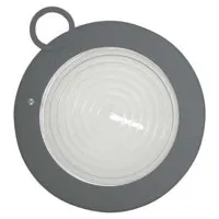 K 5600 Fresnel Frosted Lens wi Picture