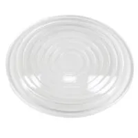 K 5600 Forsted Fresnel Lens fo Picture