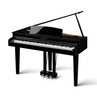 Kawai DG30 88-Key Digital Gran Picture