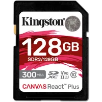 Kingston Technology Canvas Rea Picture