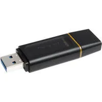 Kingston Technology DataTravel Picture