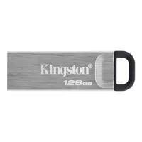 Kingston Technology DataTravel Picture