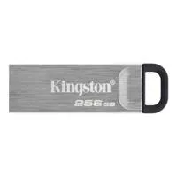 Kingston Technology DataTravel Picture