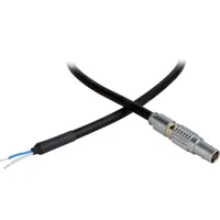 Laird 12" Lemo to Flying Leads Picture