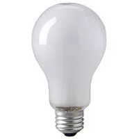 Lamp ECT PhotoFlood 500w 120v  Picture