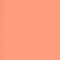 Lee Filters Dark Salmon 24x21" Picture