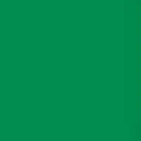 Lee Filters Forest Green 24x21 Picture