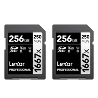 Lexar SILVER Series Profession Picture