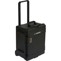 Litepanels Traveler Case Duo w Picture