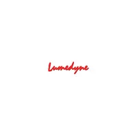 Lumedyne #065 Power Pack Modul Picture