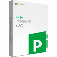 Microsoft Project Professional Picture