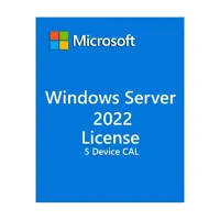 Microsoft Windows Server 2022  Picture
