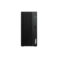 MSI PRO DP180 13NUC-223US Desk Picture