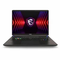 MSI Vector 16 HX A14VGG-245US  Picture