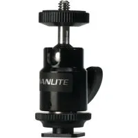 NanLite Mini Ball Head with Ho Picture