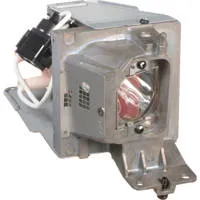 NEC NP40LP Replacement Lamp fo Picture