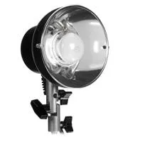 Novatron 1000ws Standard Head  Picture