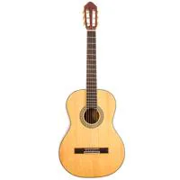 Peavey Delta Woods CNS-2 Class Picture