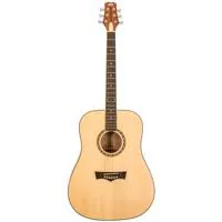 Peavey DW-1 Dreadnaught Acoust Picture