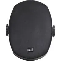 Peavey Impulse 5c 5" 50W Two-W Picture