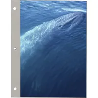 Pioneer Photo Album Deluxe Mag Picture