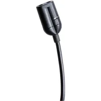 Point Source Audio CONFIDENCE  Picture