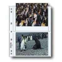 Print File 57-4P 8 mil Polypro Picture