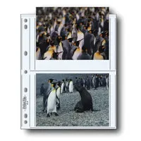 Print File Photo Pages Holds F Picture