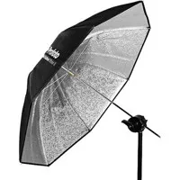Profoto Shallow Silver Umbrell Picture