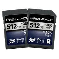 Prograde Digital Iridium UHS-I Picture