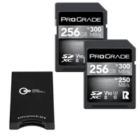 Prograde Digital 256GB SDXC UH Picture
