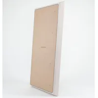 ProSoCoustic WAVERoom Pro Big  Picture