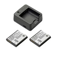 Ricoh BJ-11 Battery Charger fo Picture