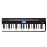Roland GO-61P GO:PIANO 61-Keys Picture