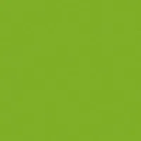 Rosco Roscolux Pea Green, 20x2 Picture