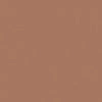 Rosco Roscolux Chocolate, 20x2 Picture