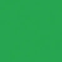 Rosco Roscolux Moss Green, 20x Picture
