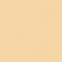 Rosco Roscolux Pale Gold, 20x2 Picture