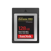 SanDisk Extreme PRO 128GB CFex Picture
