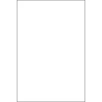 Savage 8x10" TruWhite Presenta Picture