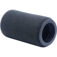 Schoeps B 1 D Hollow Foam Pops Picture