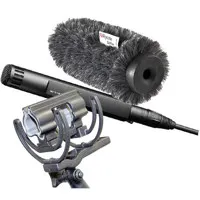 Sennheiser MKH 50P48 Boom Kit  Picture