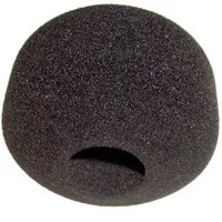 Sennheiser MZW80 Black Foam Wi Picture